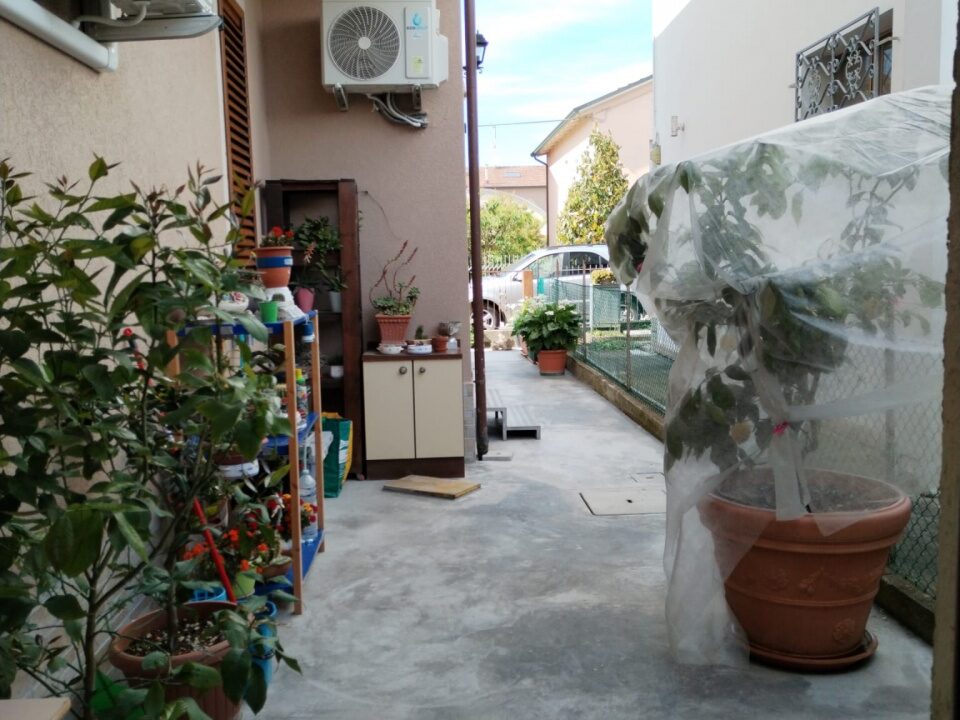 G1713201764601393