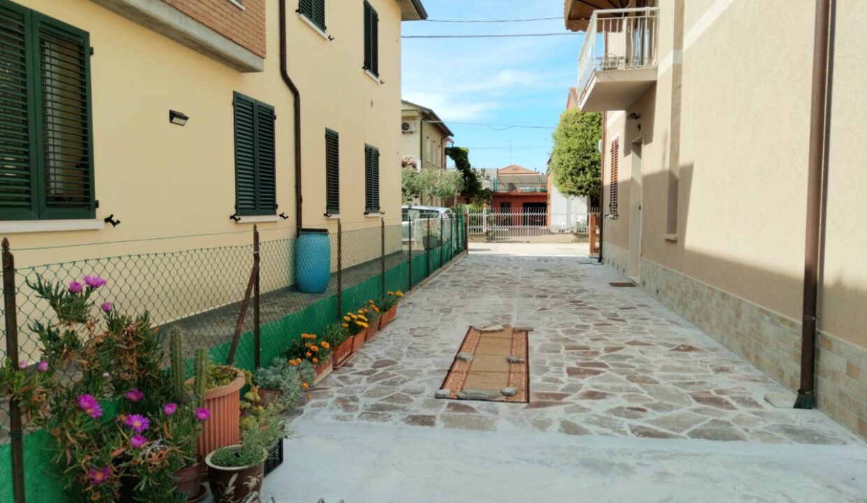 G1713201770305654